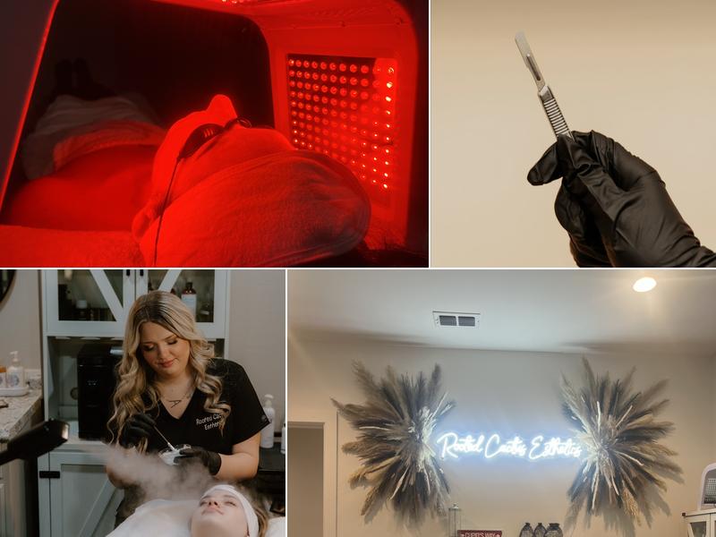 Rooted Cactus Esthetics