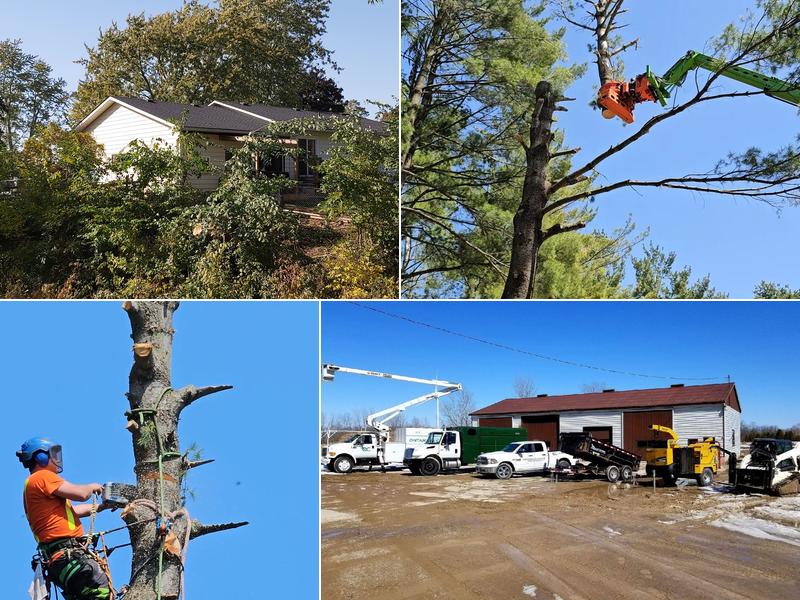 Ontario's Choice Tree Service Inc.