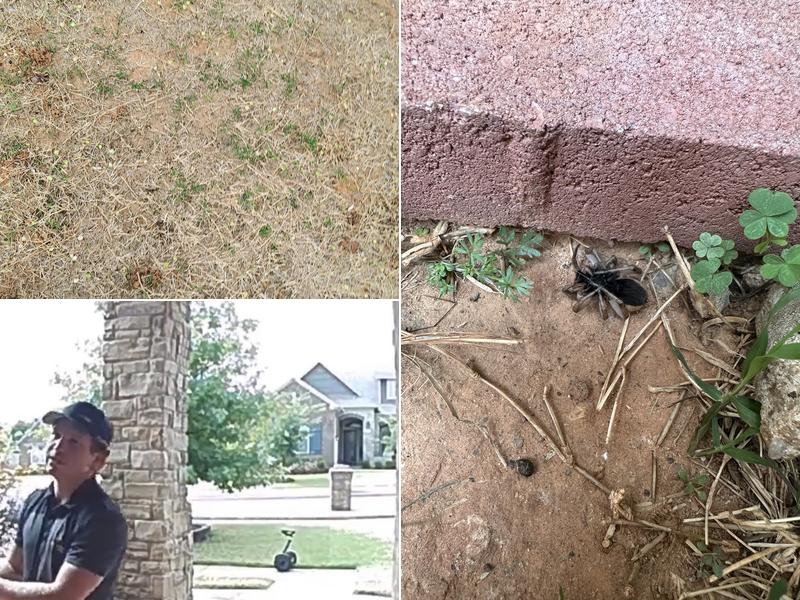 White Knight Pest Control