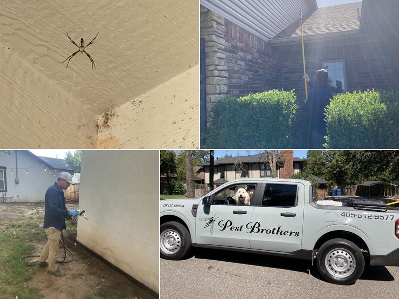 Pest Brothers Pest Control