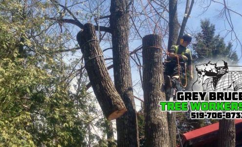 Grey Bruce Tree Workers 11 Cameron St, Tiverton Ontario N0G 2T0