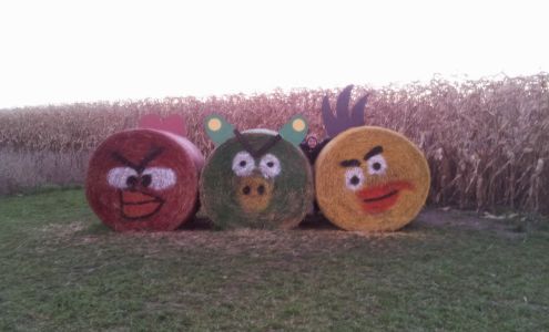 Air Care Solutions 140 Road 3 E, Kingsville Ontario N9Y 2E5