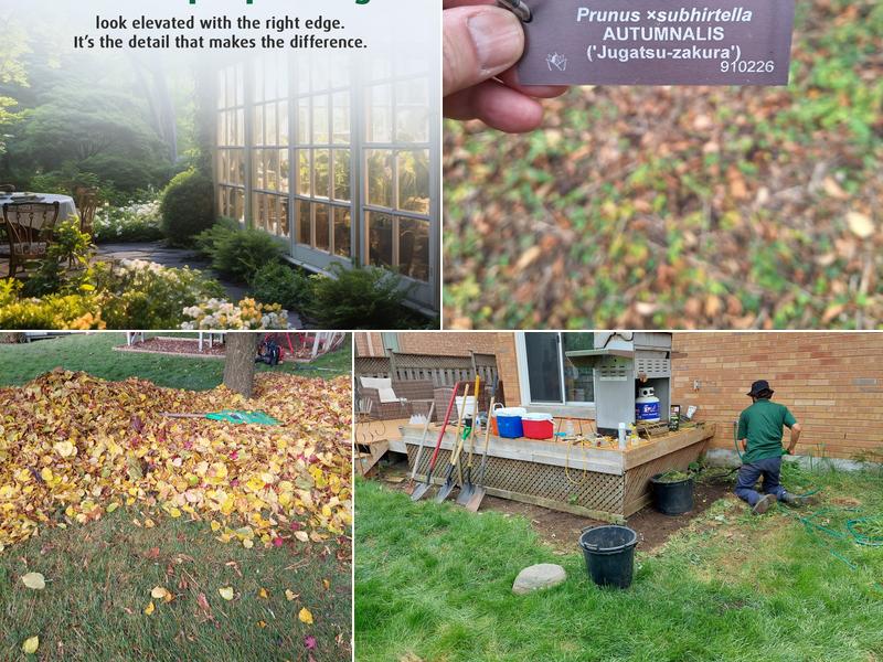 Verdant Landscape and Design Inc.