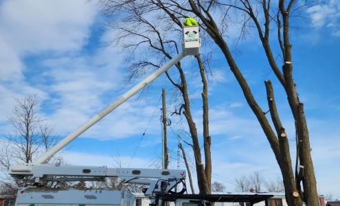 Cutting Edge Tree Service Inc 3425 Hands Rd, Prescott Ontario K0E 1T0