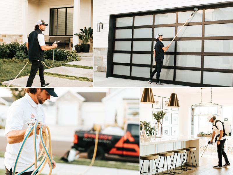 Synergy Pest Control