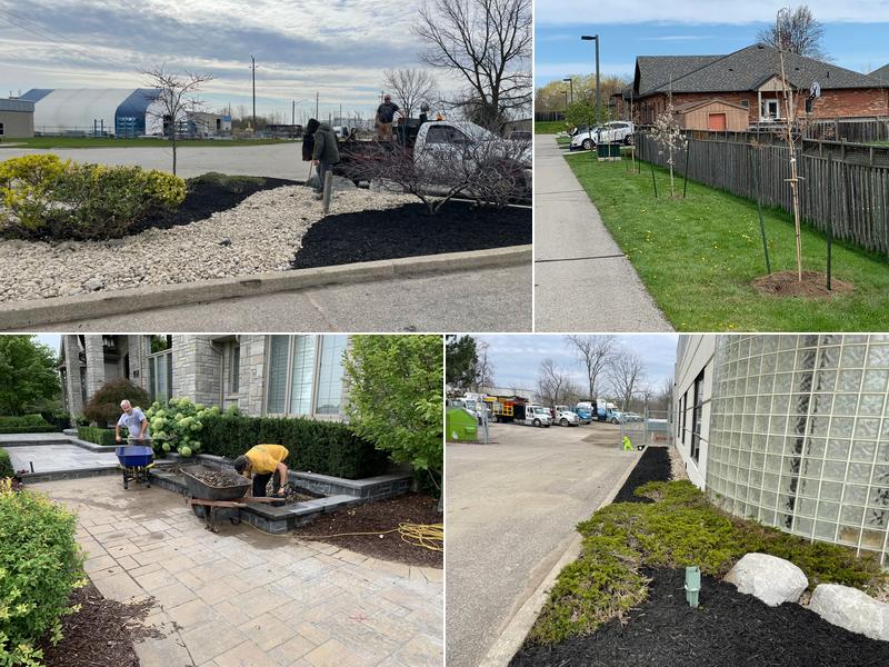 Turf Medic Property Maintenance