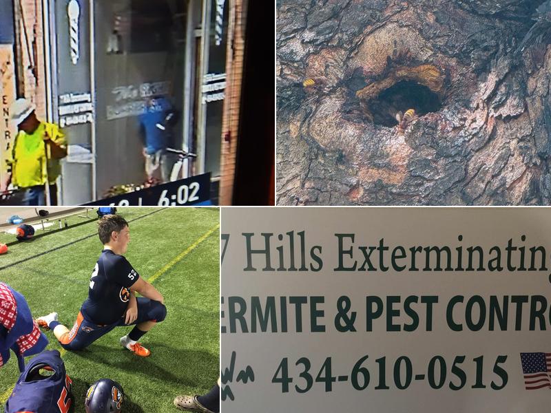 7 Hills Exterminating Co