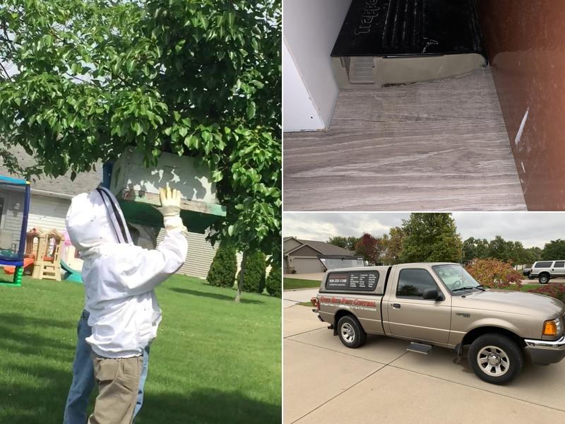 Done Rite Pest Control