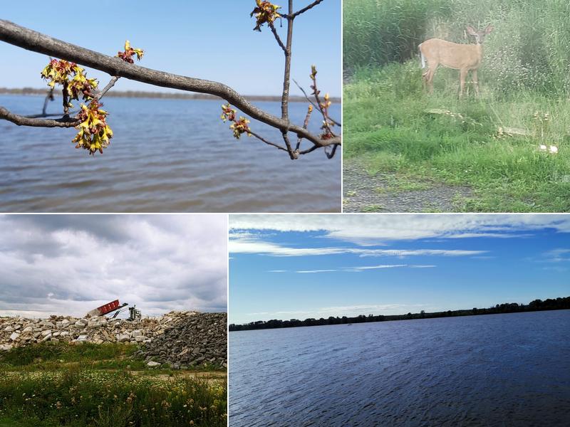 Demolition Et Excavation L Pch