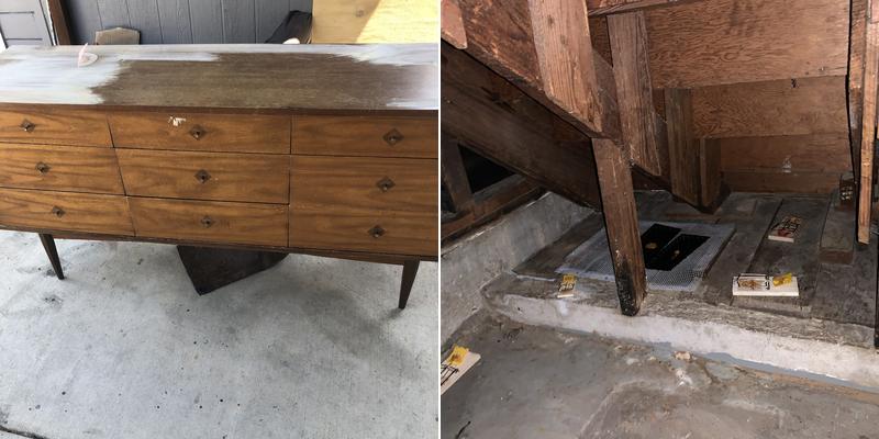 Rywen Insulation and Rodent Proofing