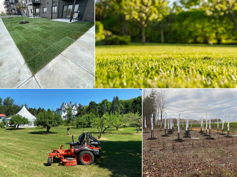 Groupe Galax - Entretien paysager