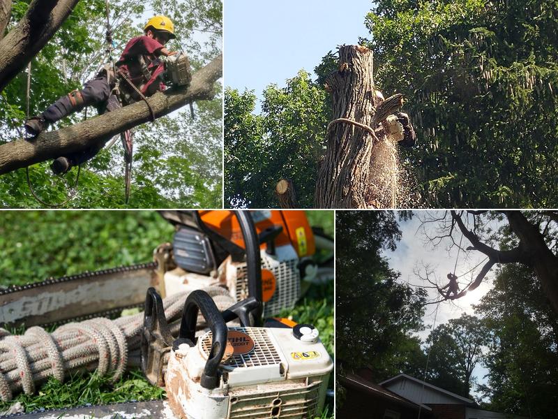 Émondage Félix Burelle