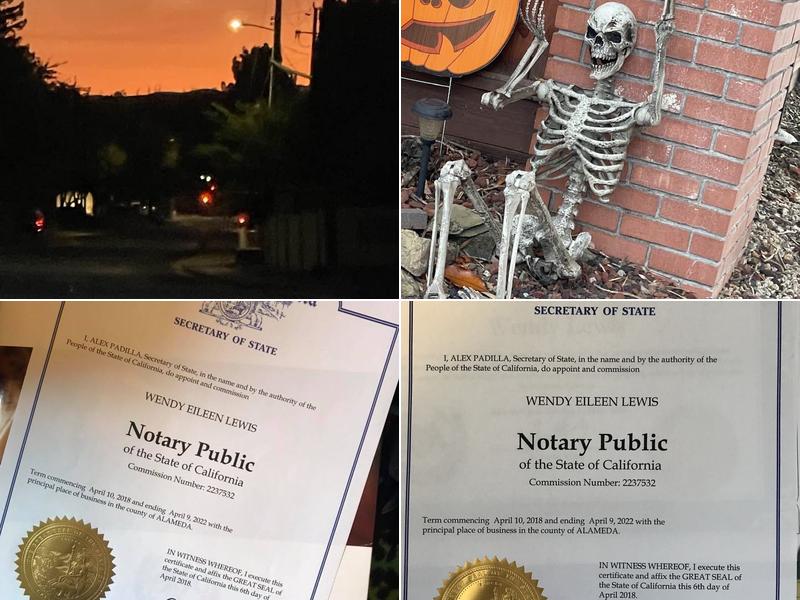 Wendy Lewis Mobile Notary & Loan Signing Agent