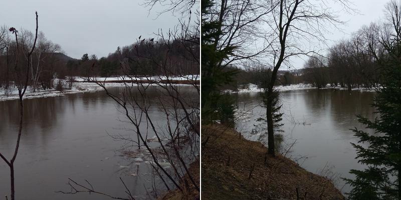 Bordure De Ciment David Enr