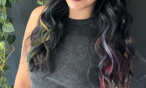 Vicious Streak Salon 1935 17th St Suite E, Santa Ana California 92705