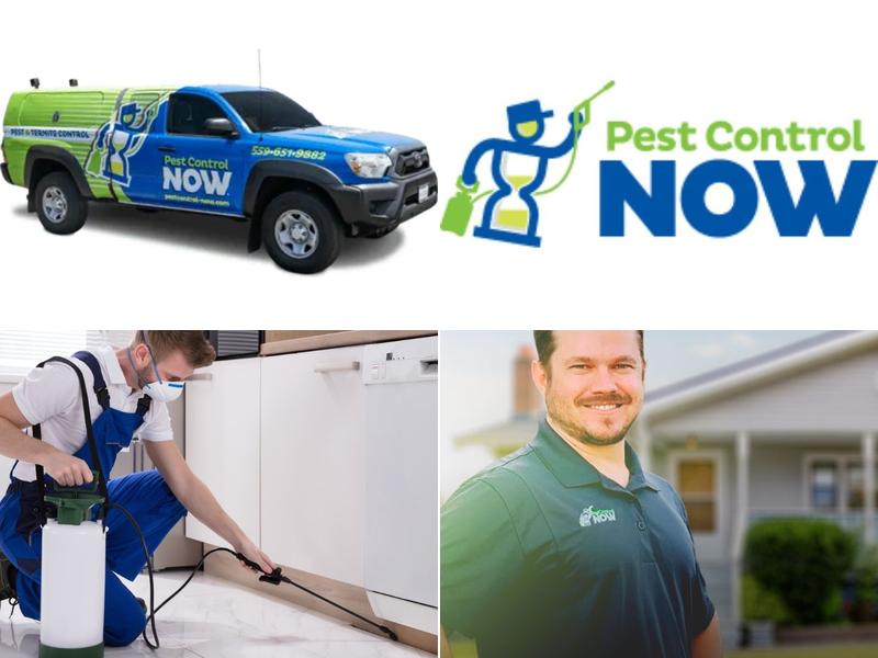 Pest Control Now