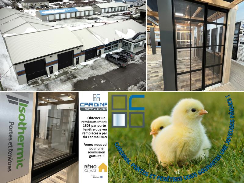 Cardinal Immotech Inc