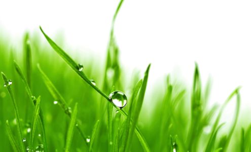 Vertdure | Entretien Pelouse Victoriaville 2104 Rue Notre Dame O, Victoriaville Quebec G6T 2E1