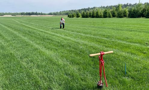 GAZON TOURBE JUNIOR & PEINTRE PEINTURE ET TERRASSE. CHAUDIÈRE-APPALACHE ET QUÉBEC 148 Rte Saint-Olivier, Saint-Anselme Quebec G0R 2N0