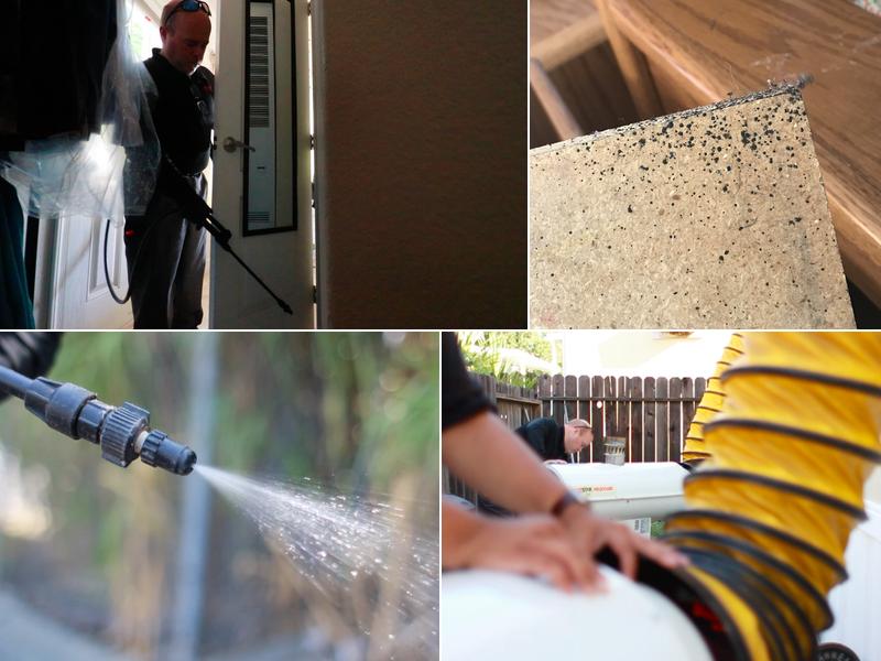 Integrity Pest Management