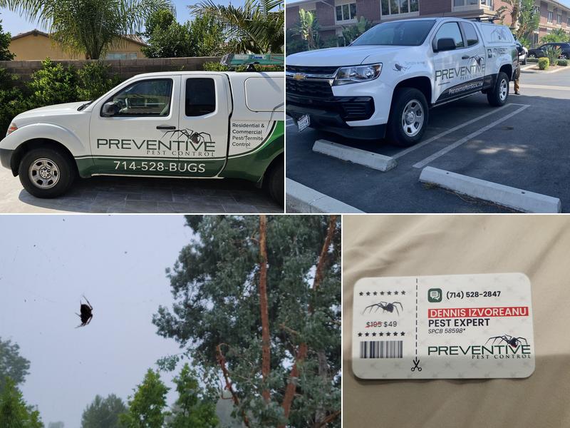 Preventive Pest Control