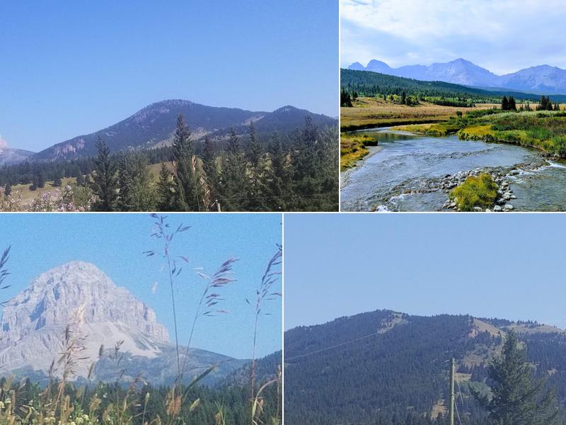 Crowsnest Rain Gutters