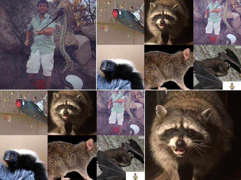 Outbackzack's Nuisance Animal Removal