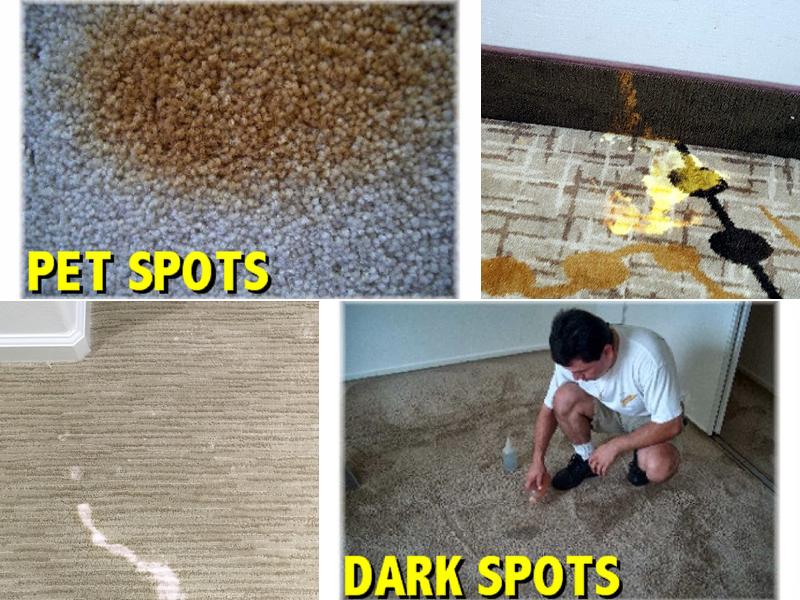 Langenwalter Carpet Dyeing