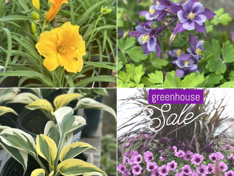 I & M Landscaping Nursery, Inc