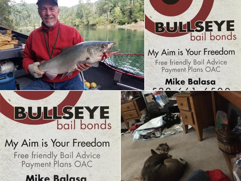 Bull's Eye Bail Bonds