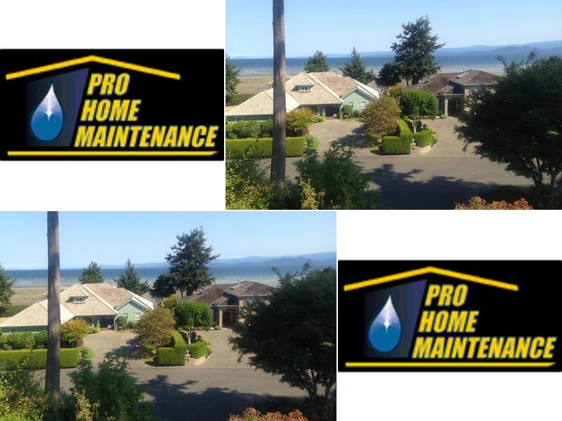 Pro Home Maintenance