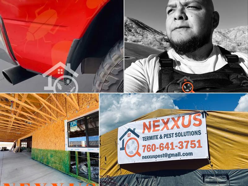 Nexxus Termite & Pest Solutions