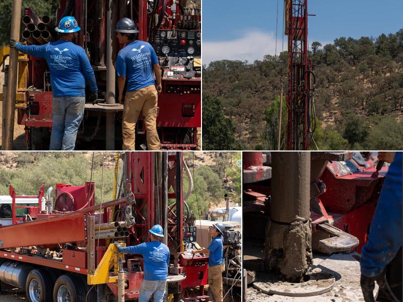 WildHeron Drilling