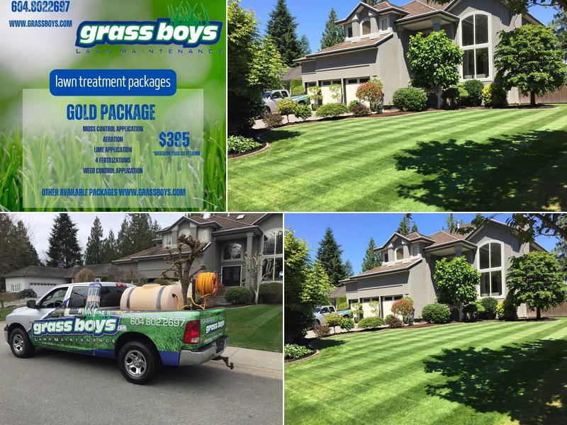 Grassboys Lawn Maintenance