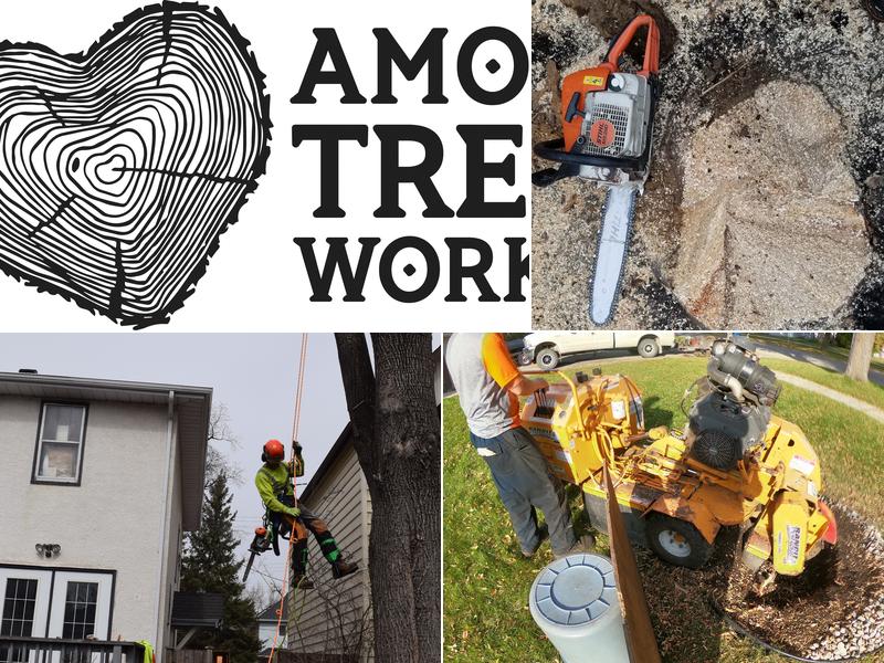 Amor Tree Works