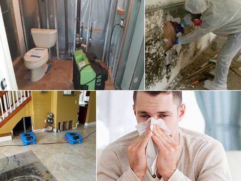 Ultra Hygiene Services