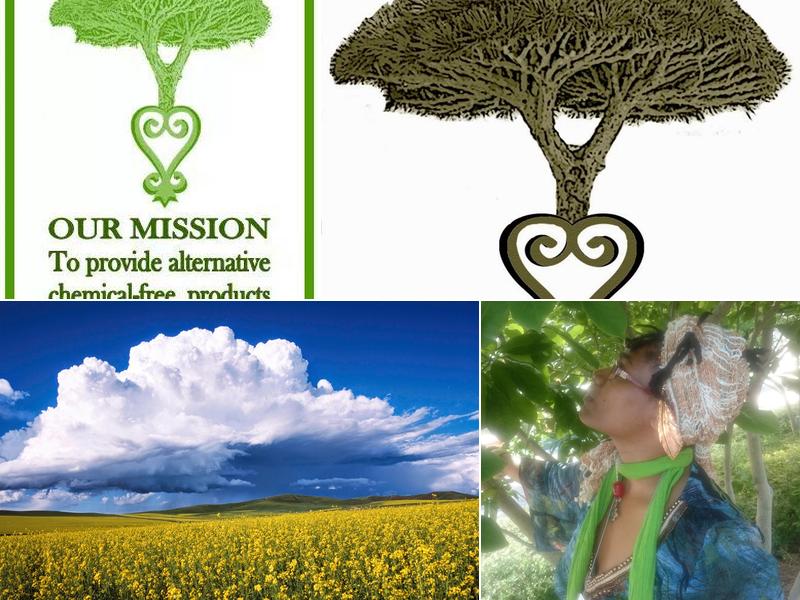 ANNU Alternatives LLC