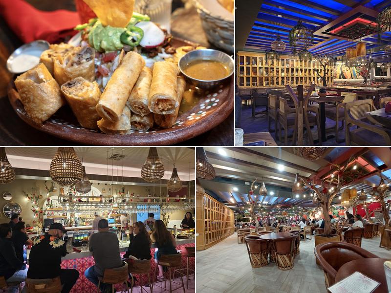 Rosa Madera 2158 S Bristol St, Santa Ana