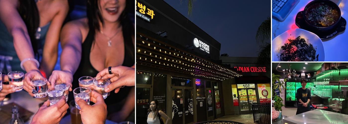 The Magpie and Tiger