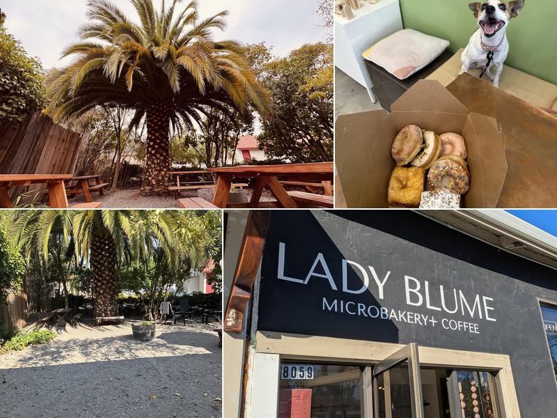 Lady Blume Microbakery + Coffee 8059 La Plaza, Cotati