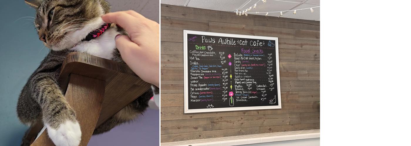 Paws Awhile Cat Cafe Menu