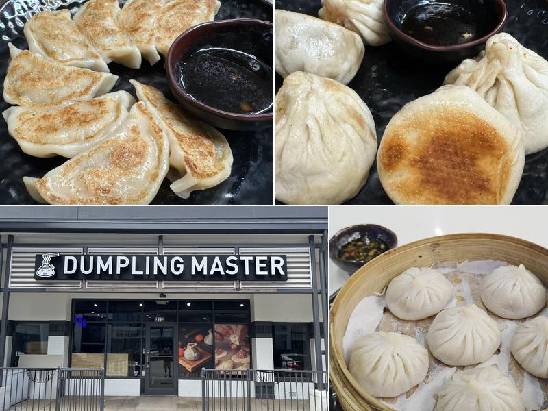 Dumpling Master | BubbleTea & Noodles 273 Commerce Dr, Peachtree City