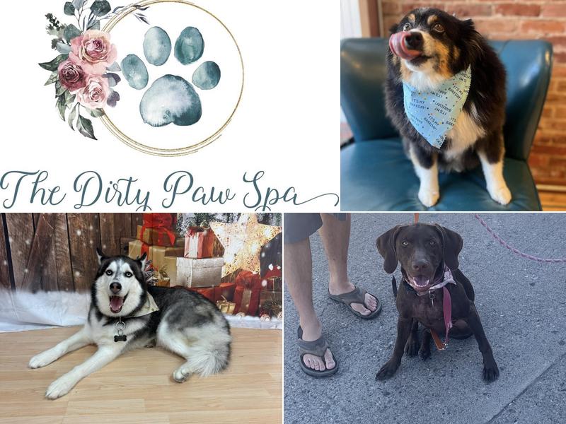The Dirty Paw Spa