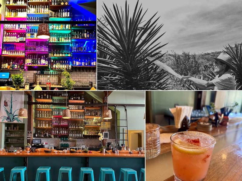 Mesa Maguey 4031 Broadway, Oakland