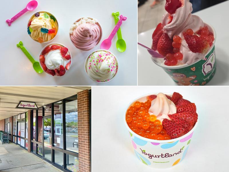 Yogurtland West Berlin