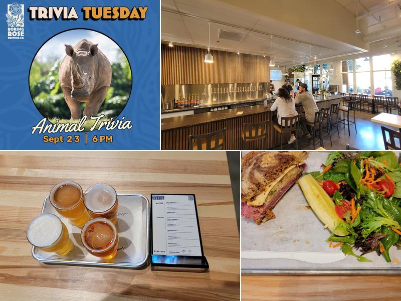 Boring Rose Brewing Co.