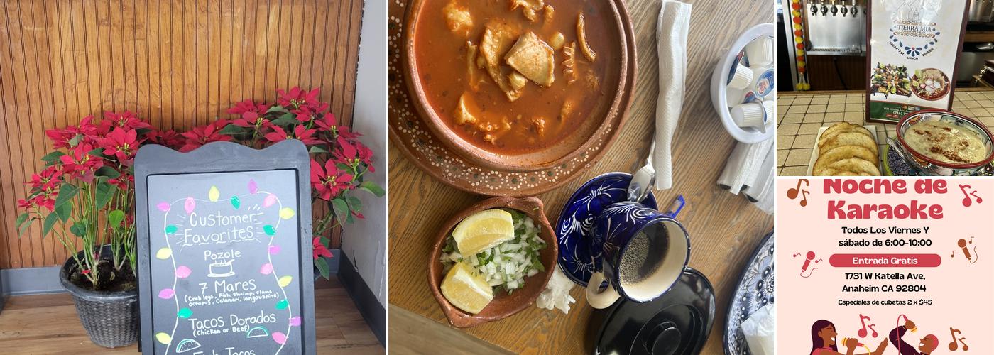 Tierra Mia Mexican Grill Menu