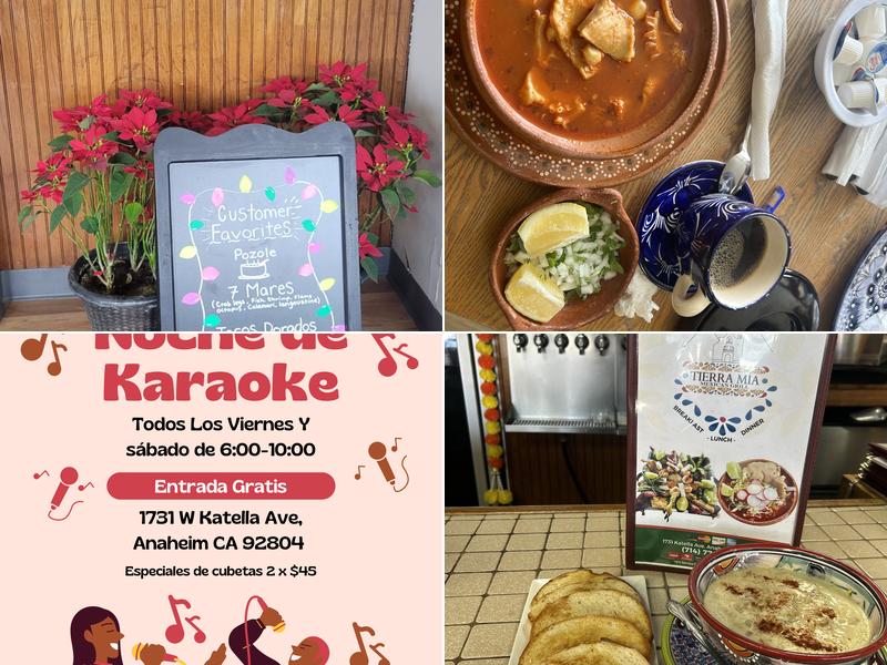 Tierra Mia Mexican Grill Menu