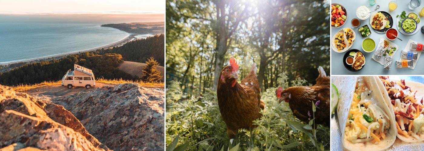 Early Bird Tacos - Catering