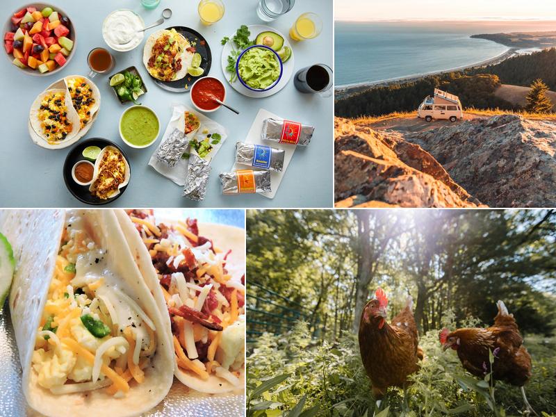 Early Bird Tacos - Catering